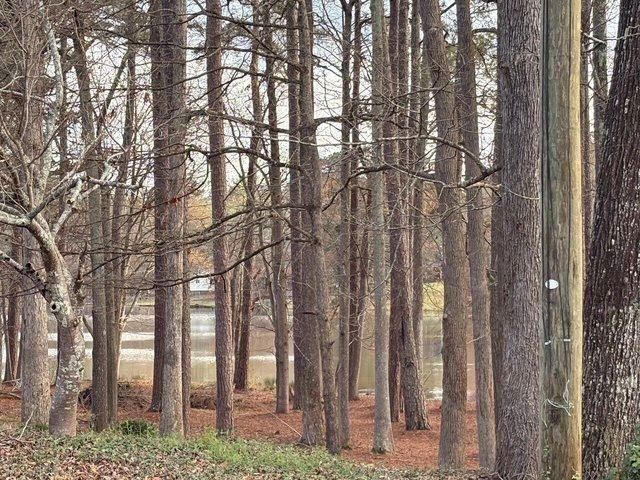 110 Kline Circle, Griffin, GA 30224