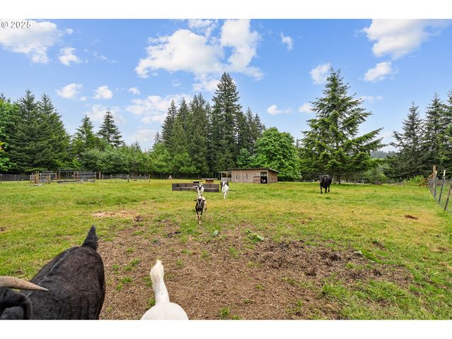 39035 Se PORTER Rd, Estacada, OR 97023