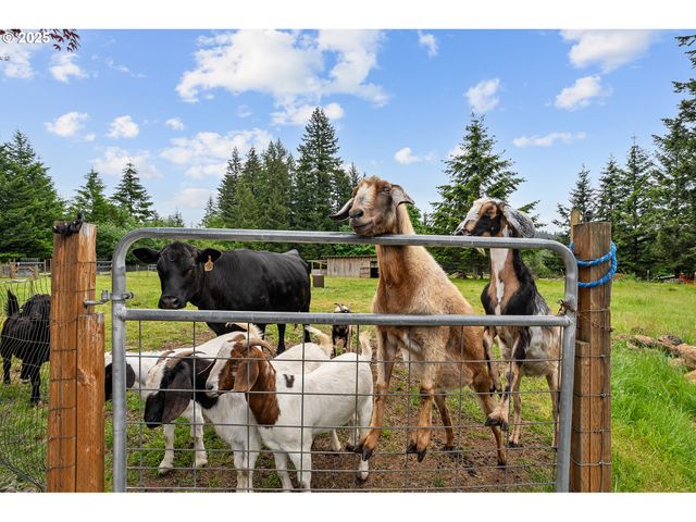 39035 Se PORTER Rd, Estacada, OR 97023