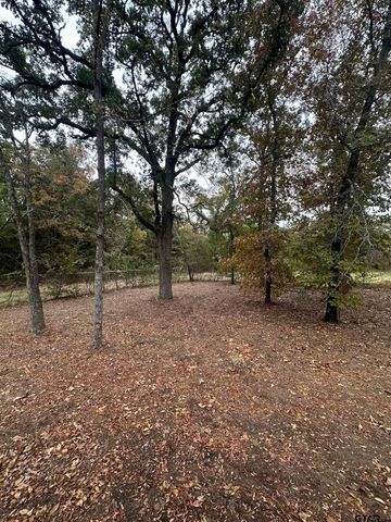 19448 N US Hwy 69, Lindale, TX 75771