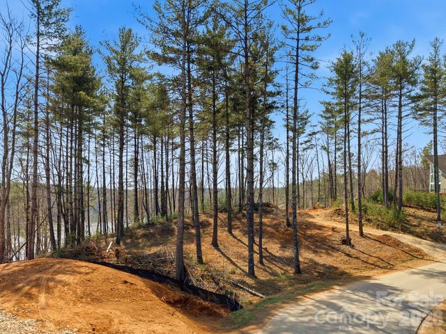 291 S Crest View Street, Nebo, NC 28761