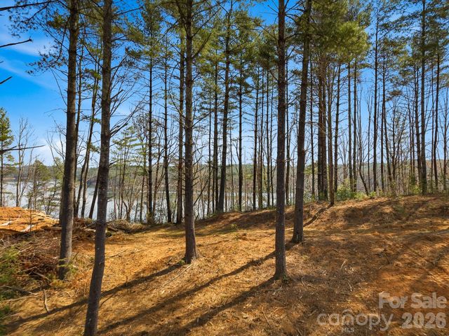 291 S Crest View Street, Nebo, NC 28761