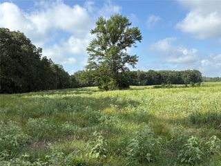 TBD CR 2120 2, Talco, TX 75487
