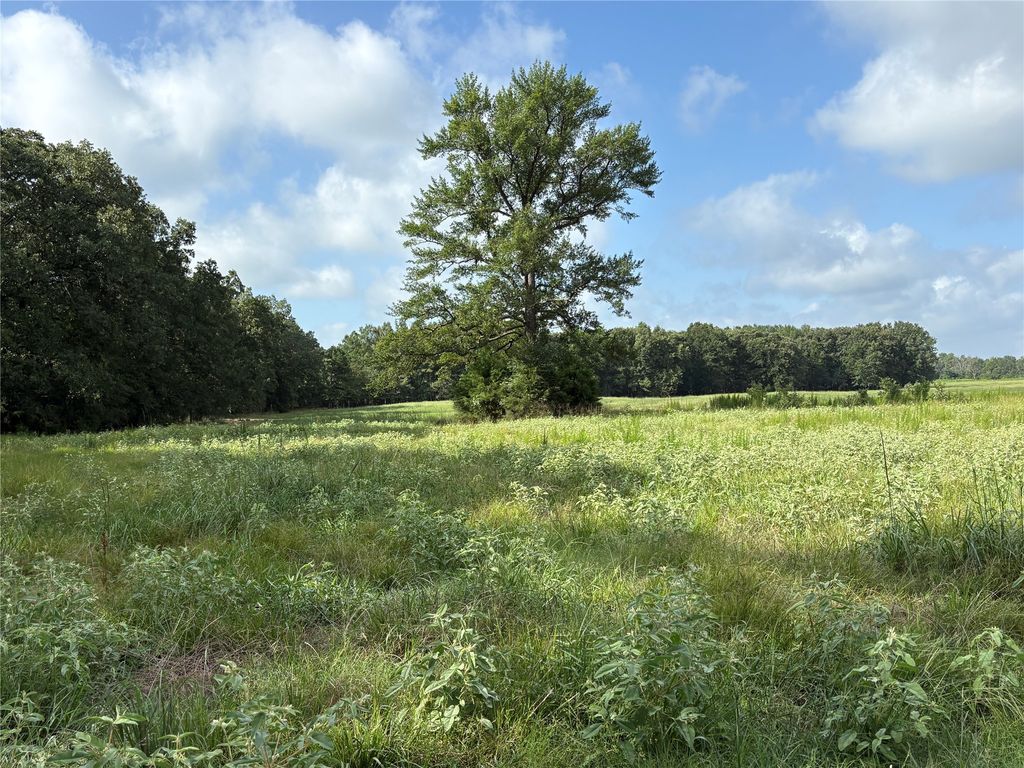 TBD CR 2120 2, Talco, TX 75487