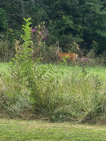 9100 S US Highway 35, Muncie, IN 47302