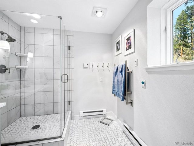 33847 Hemlock Ln, Evergreen, CO 80439