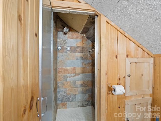 111 Buckeye Road, Lake Lure, NC 28746