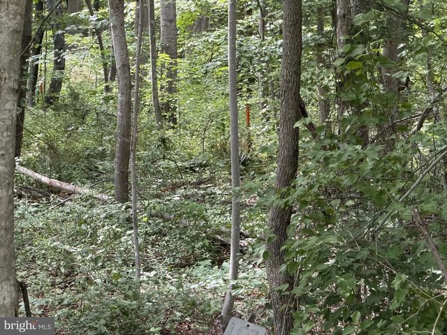 OVERTON DR, Bumpass, VA 23024