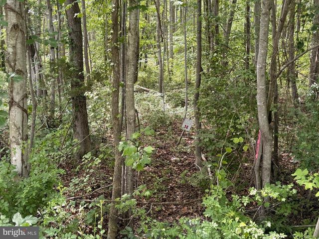 OVERTON DR, Bumpass, VA 23024