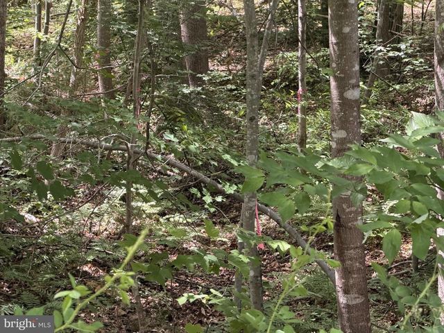 OVERTON DR, Bumpass, VA 23024
