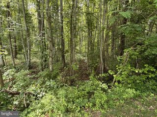 OVERTON DR, Bumpass, VA 23024
