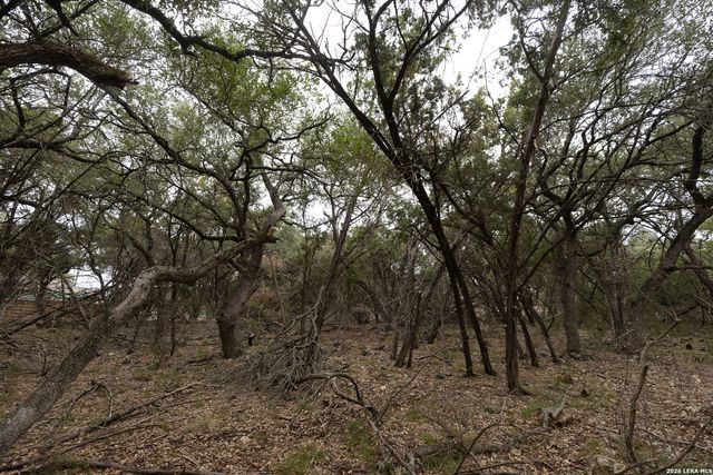 2480 Cypress Gardens, Spring Branch, TX 78070