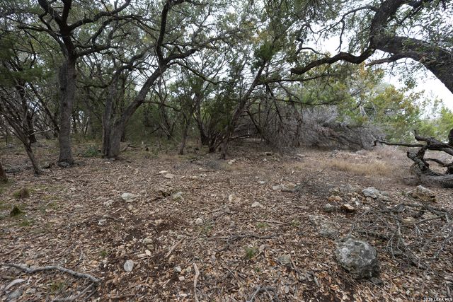 2480 Cypress Gardens, Spring Branch, TX 78070