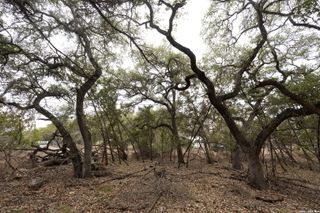 2480 Cypress Gardens, Spring Branch, TX 78070