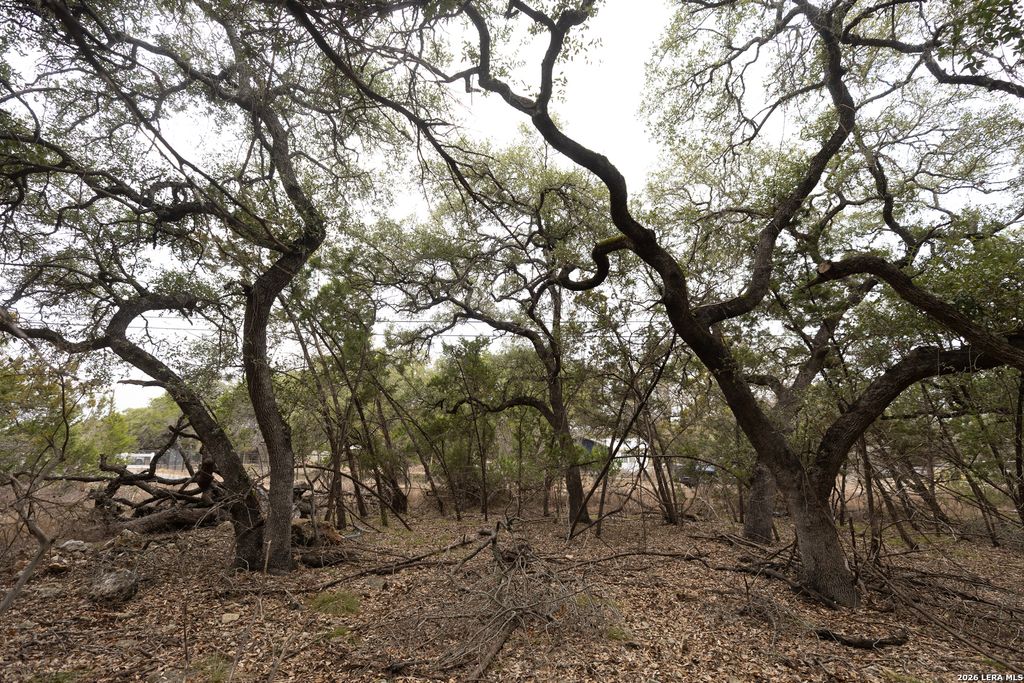 2480 Cypress Gardens, Spring Branch, TX 78070