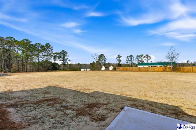 284 Lexyryan Ct, Latta, SC 29565