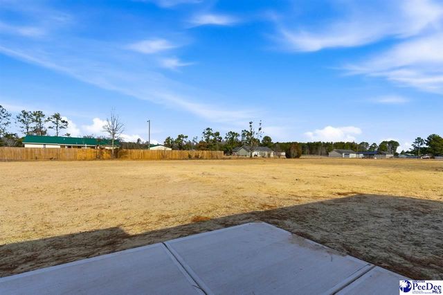 284 Lexyryan Ct, Latta, SC 29565