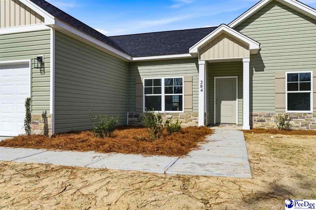284 Lexyryan Ct, Latta, SC 29565