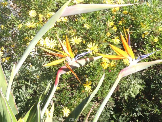 13711 Amberview, Eastvale, CA 92880