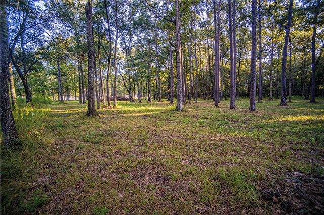 1319 County Road 3434 S, Cleveland, TX 77327