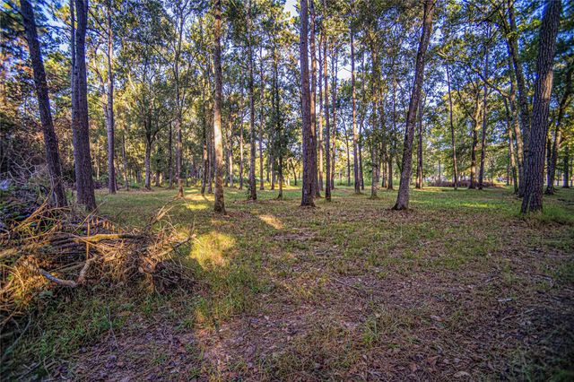 1319 County Road 3434 S, Cleveland, TX 77327