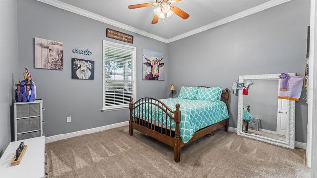 8044 LAKE HATCHINEHA ROAD, Haines City, FL 33844