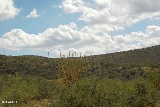 185 RUTA CAMARON -- -, Rio Rico, AZ 85648