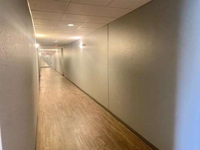 2209 S Braeswood Boulevard 33F, Houston, TX 77030