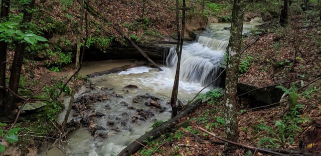 1824 Kingtown Road, Strunk, KY 42649