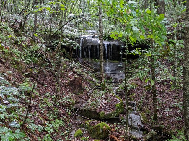 1824 Kingtown Road, Strunk, KY 42649