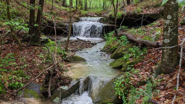 1824 Kingtown Road, Strunk, KY 42649