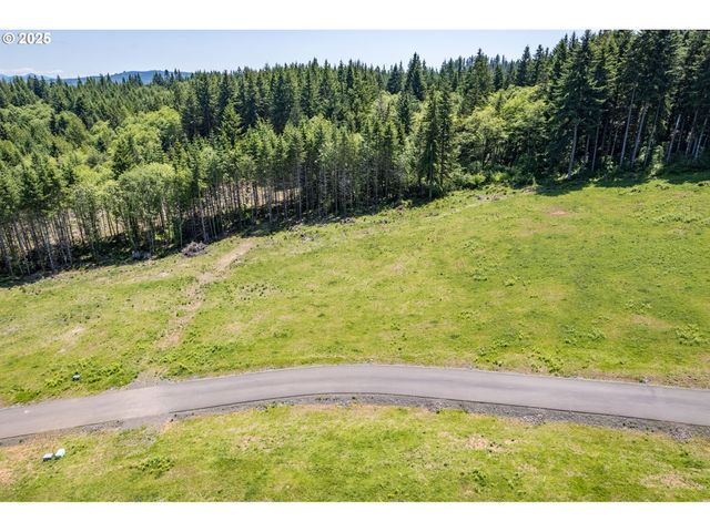0 Silverwood Dr Lot C2, Castle Rock, WA 98611