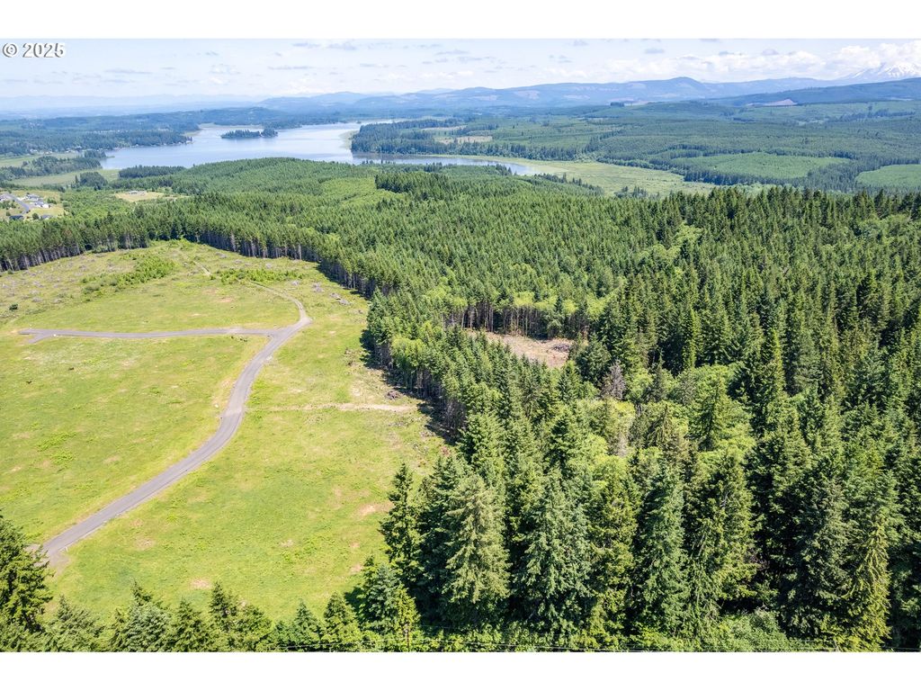 0 Silverwood Dr Lot C2, Castle Rock, WA 98611