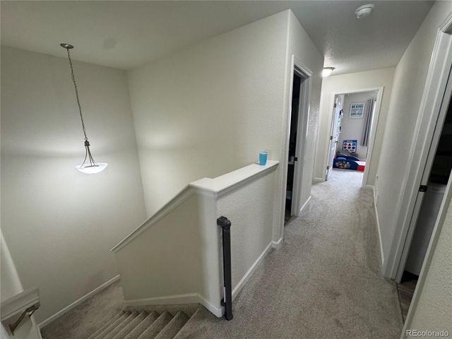 894 Petra Heights, Colorado Springs, CO 80916