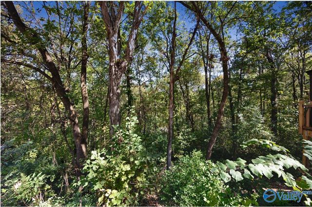 10115 Skylark Drive SE, Huntsville, AL 35803
