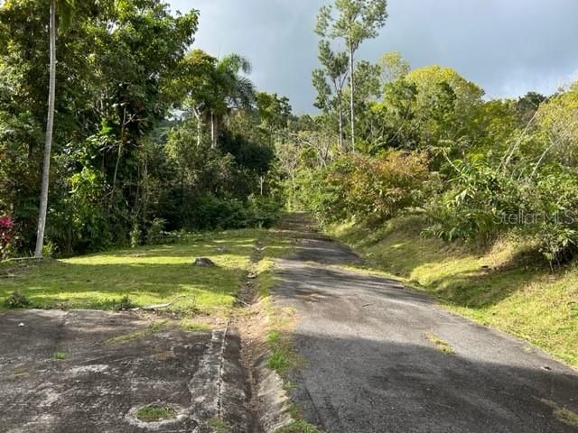 Sector Los Sola BO TURABO, Caguas, PR 00725