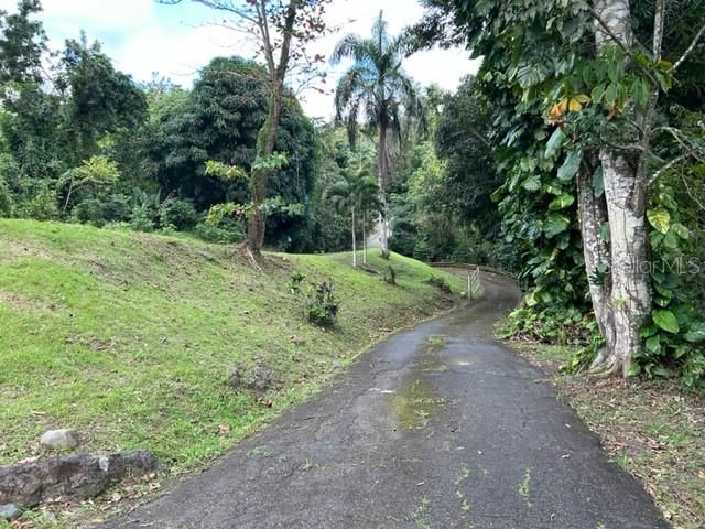 Sector Los Sola BO TURABO, Caguas, PR 00725