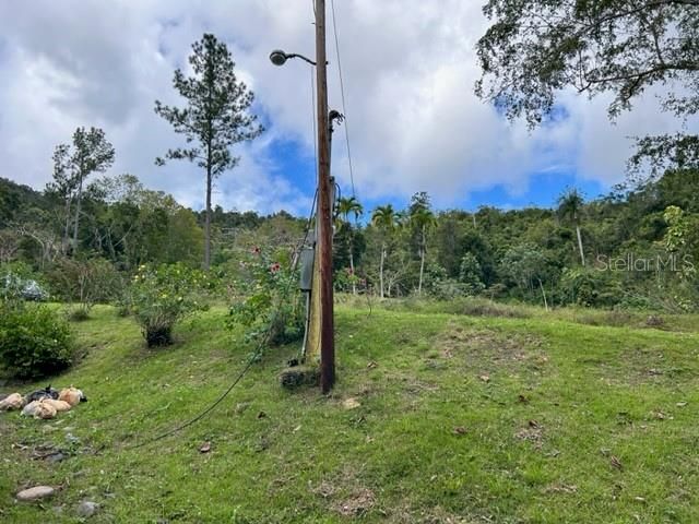 Sector Los Sola BO TURABO, Caguas, PR 00725