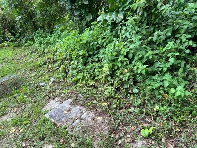 Sector Los Sola BO TURABO, Caguas, PR 00725