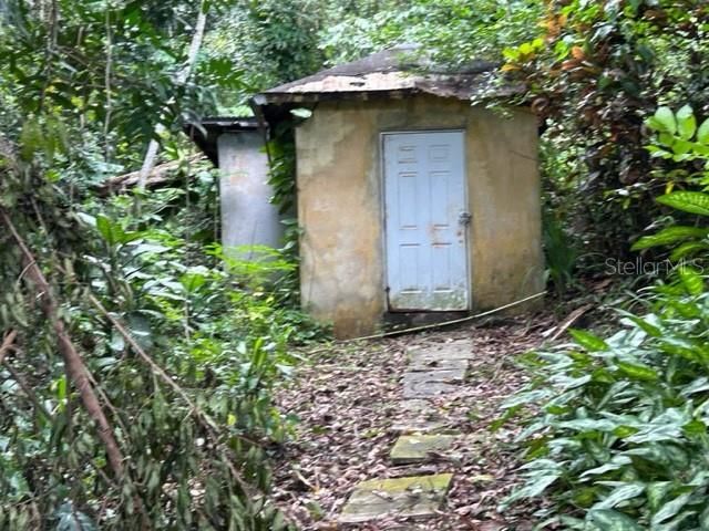 Sector Los Sola BO TURABO, Caguas, PR 00725