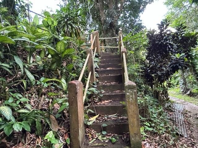 Sector Los Sola BO TURABO, Caguas, PR 00725