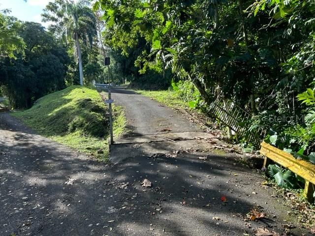 Sector Los Sola BO TURABO, Caguas, PR 00725