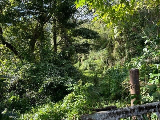 Sector Los Sola BO TURABO, Caguas, PR 00725