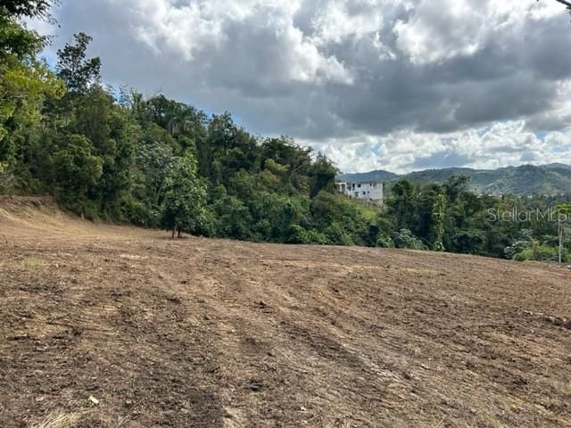 Sector Los Sola BO TURABO, Caguas, PR 00725