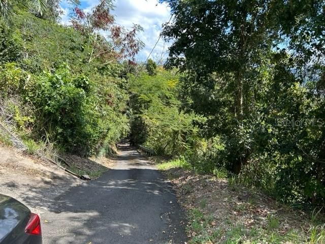 Sector Los Sola BO TURABO, Caguas, PR 00725