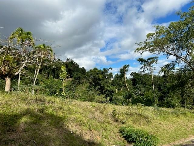 Sector Los Sola BO TURABO, Caguas, PR 00725