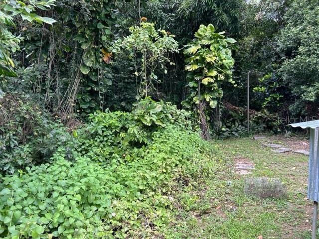 Sector Los Sola BO TURABO, Caguas, PR 00725