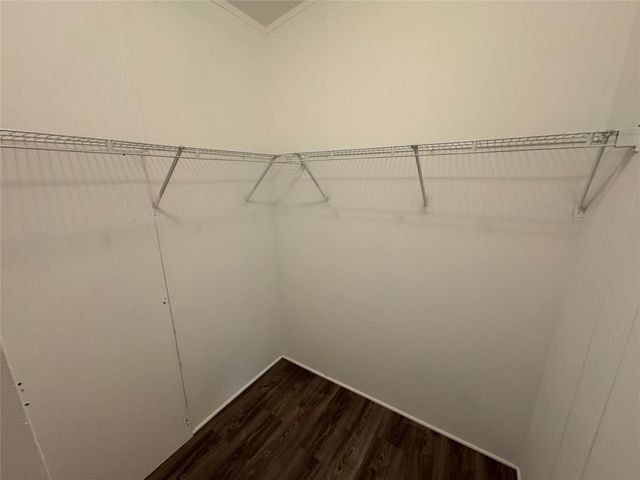 16506 Leafy Meadow Drive, Conroe, TX 77302