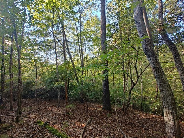 13 Reserve Estates Lane, Murphy, NC 28906