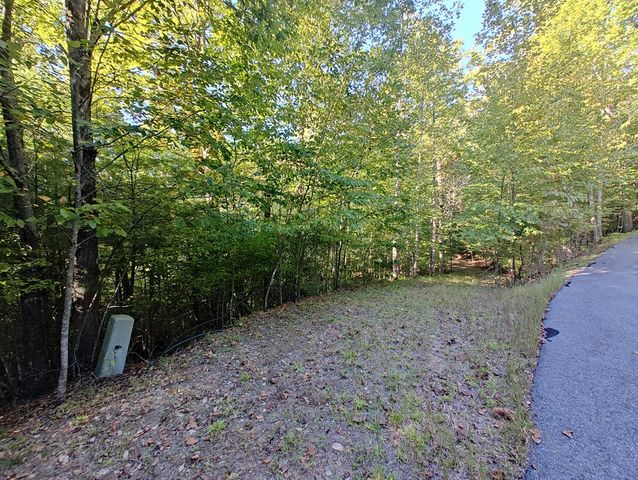 13 Reserve Estates Lane, Murphy, NC 28906